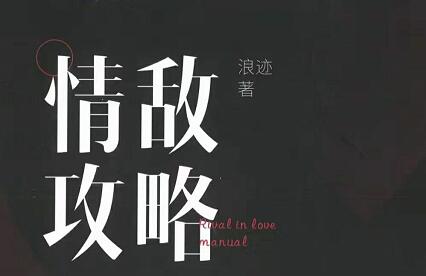 浪迹《情敌攻略视频课+进阶版》